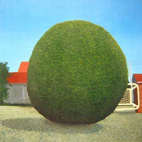 THE BULB TREE,  Oil/Canvas 80x80cm,  Frans van Veen 1975