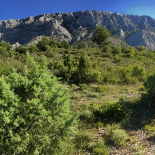 Tekenend bij  Montagne Sainte Victoire (F)  Frans van Veen 2019