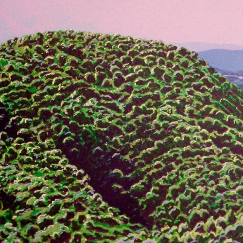 LE PIED GROS - Olieverf, 122x244cm, Frans van Veen - NTK