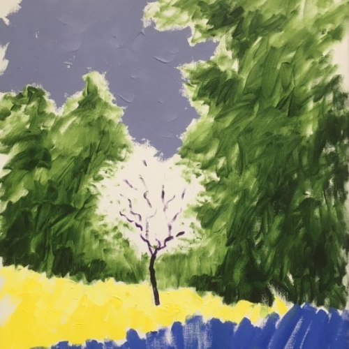 100x80 cm