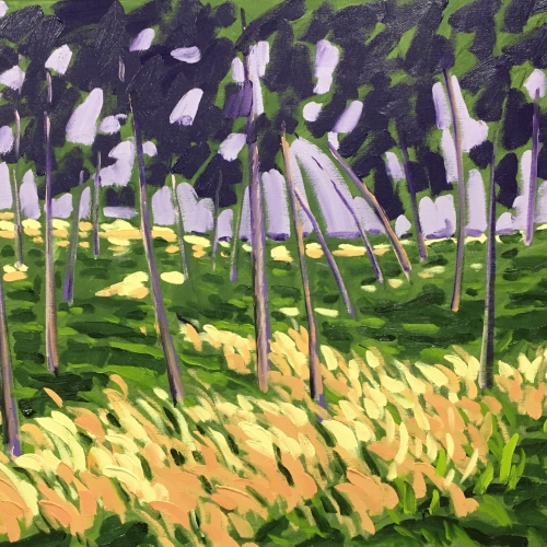 80x100cm