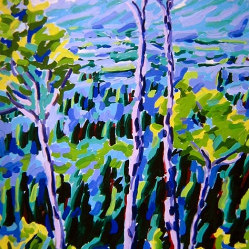 Tussen Van Gogh en Cezanne - Olieverf, 160x120cm, Frans van Veen 2006 - Verkocht
