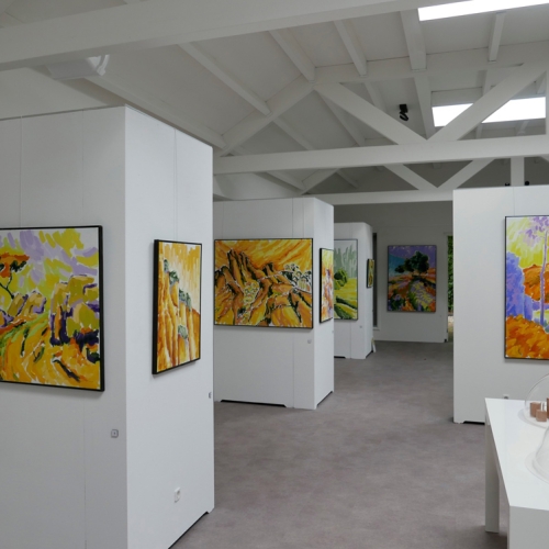EXPO Princenhage 2020  Frans van Veen