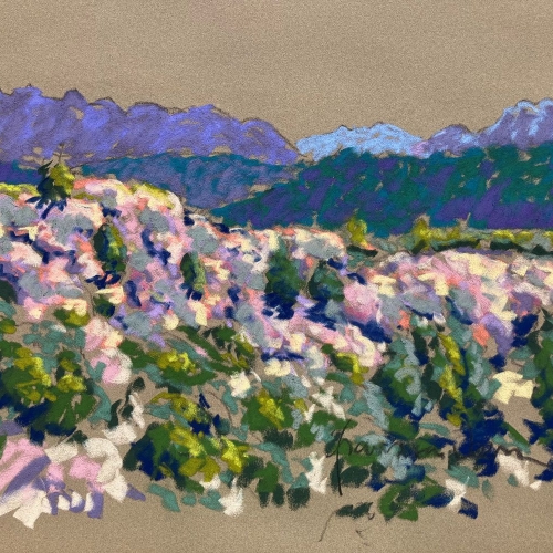 Pastel, 50x65cm, Sainte Victoire 