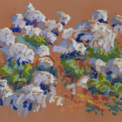 Pastel 65x50cm Sainte Victoire