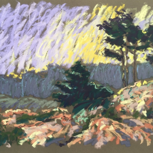 08