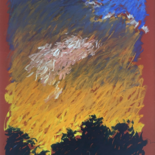 26
