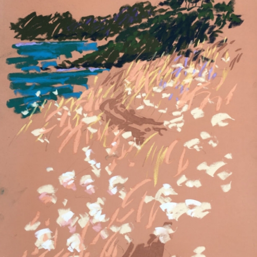 51