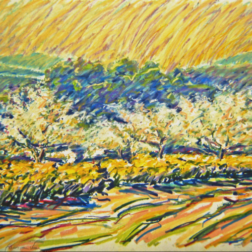 LE BIGARREAU  Pastel 70x100cm  Frans vanVeen 1988